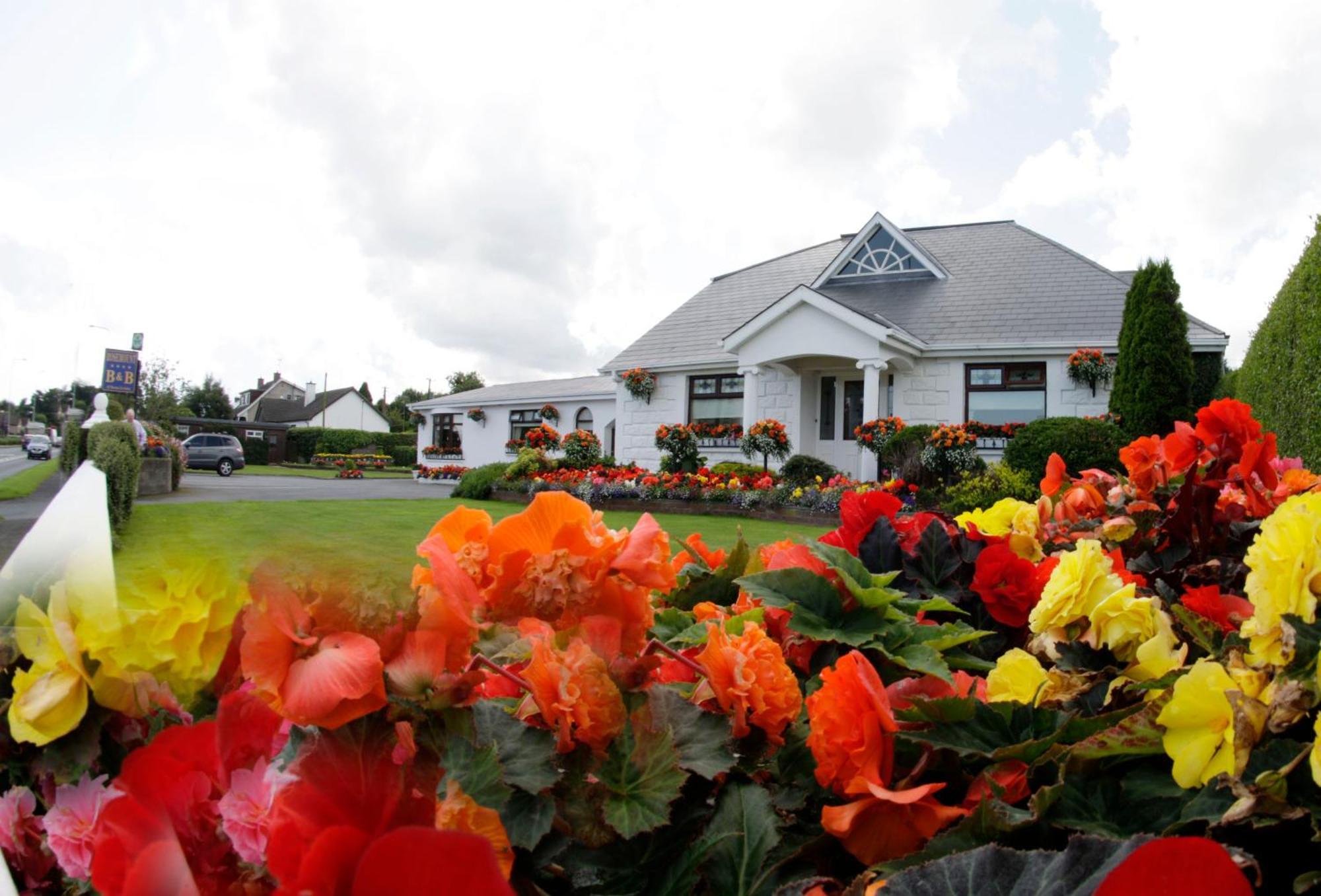 Rosemount B&B Dundalk Luaran gambar