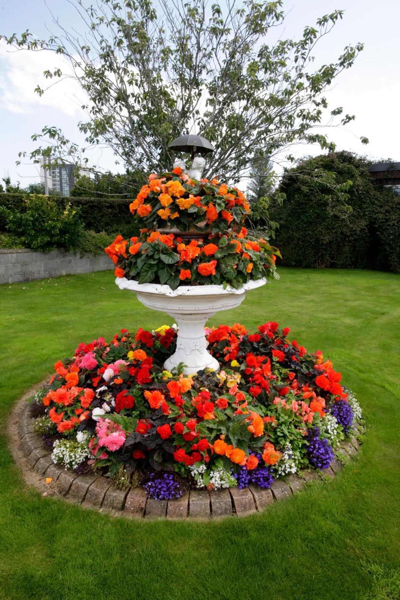 Rosemount B&B Dundalk Luaran gambar